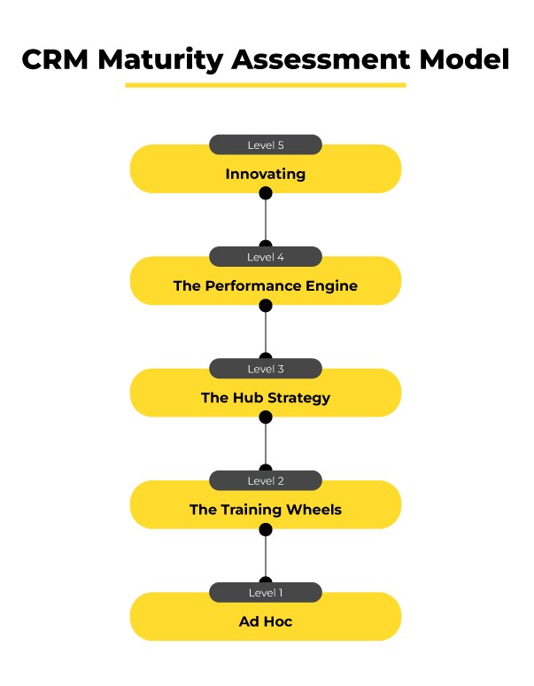 CRM maturity assessment model
