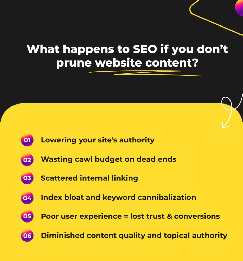 What happens to SEO if you don’t prune website content?