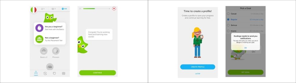 Duolingo example