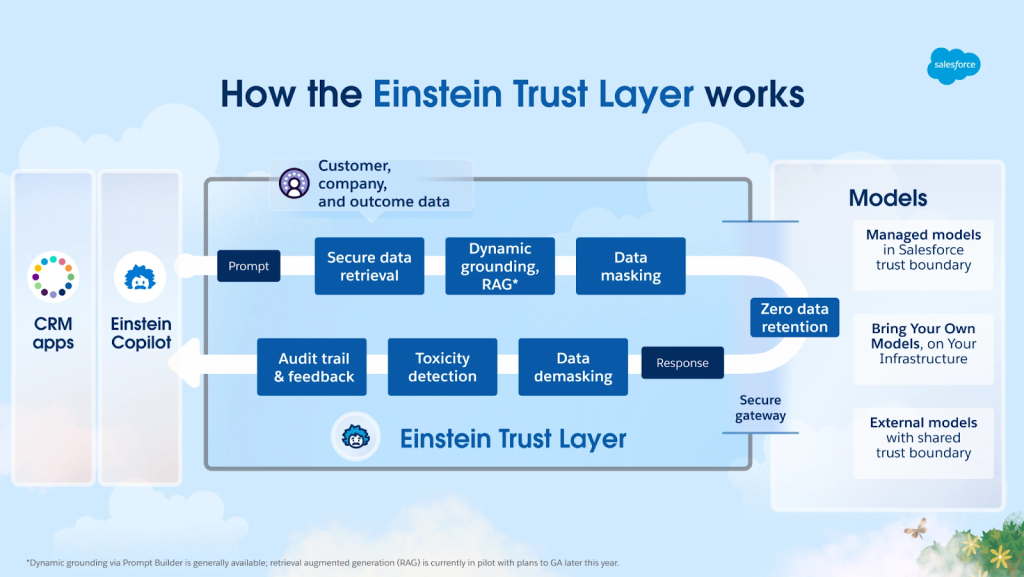 Einstein trust layer 